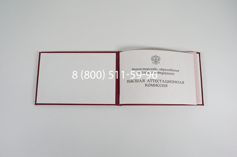 Диплом доктора наук 1995-2006 года в Салавате Диплом доктора наук 1995-2006 года в Салавате