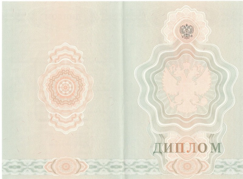 Купить Диплом о начальном образовании  2007-2009 годов в Салавате