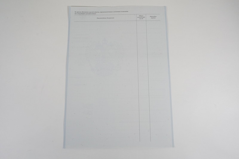 Диплом о начальном образовании  2007-2009 годов в Салавате