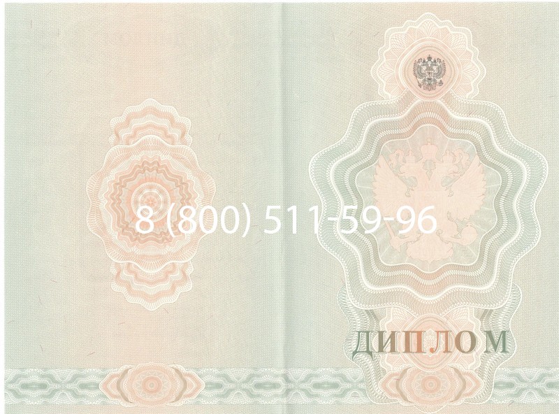 Купить Диплом училища 2007-2009 годов в Салавате Купить Диплом училища 2007-2009 годов в Салавате
